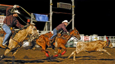 Cowboys' Guest Ranch